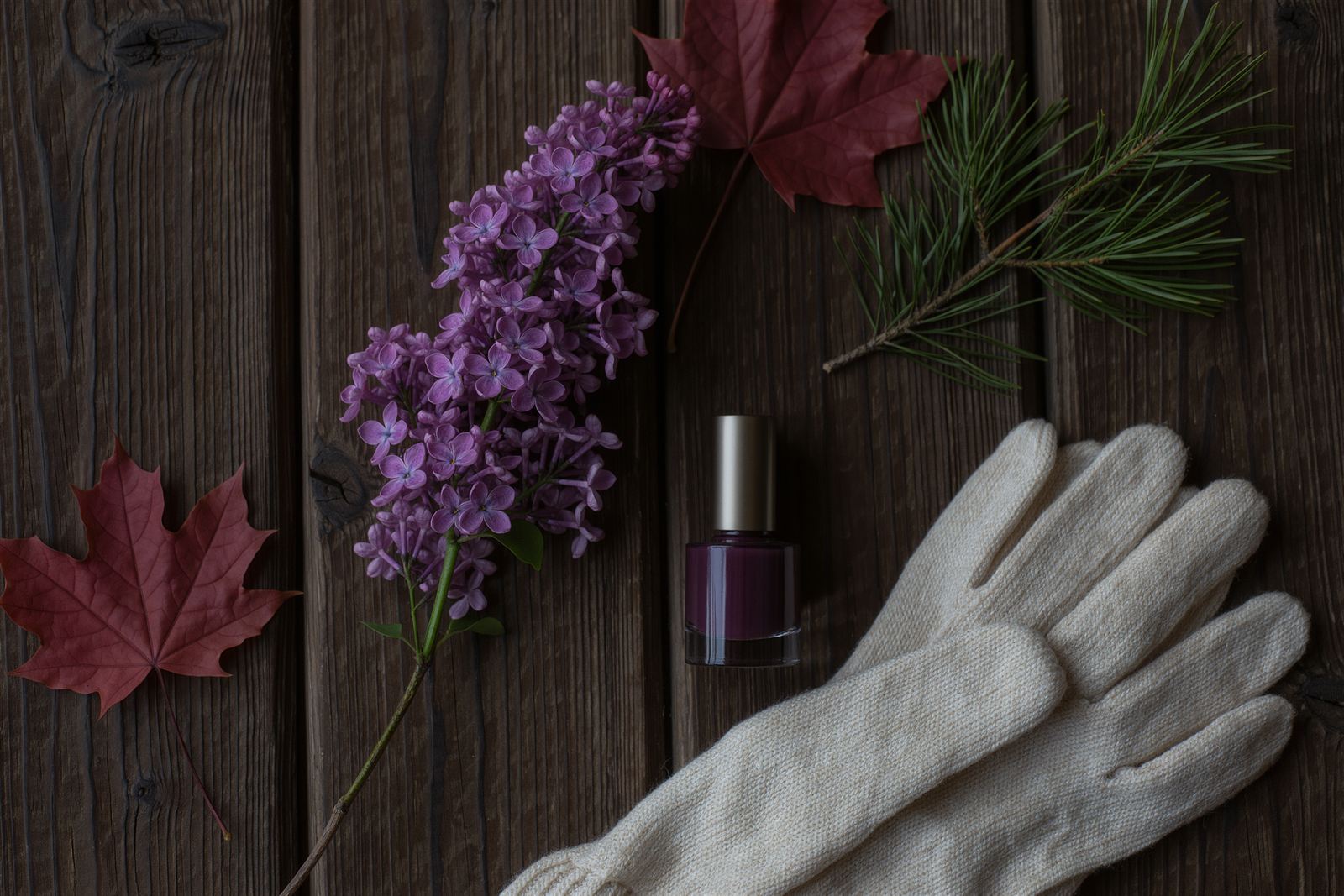 A lilac sprig, a red maple leaf, a pine sprig, a wool glove and a plum polish bottle on a wooden table