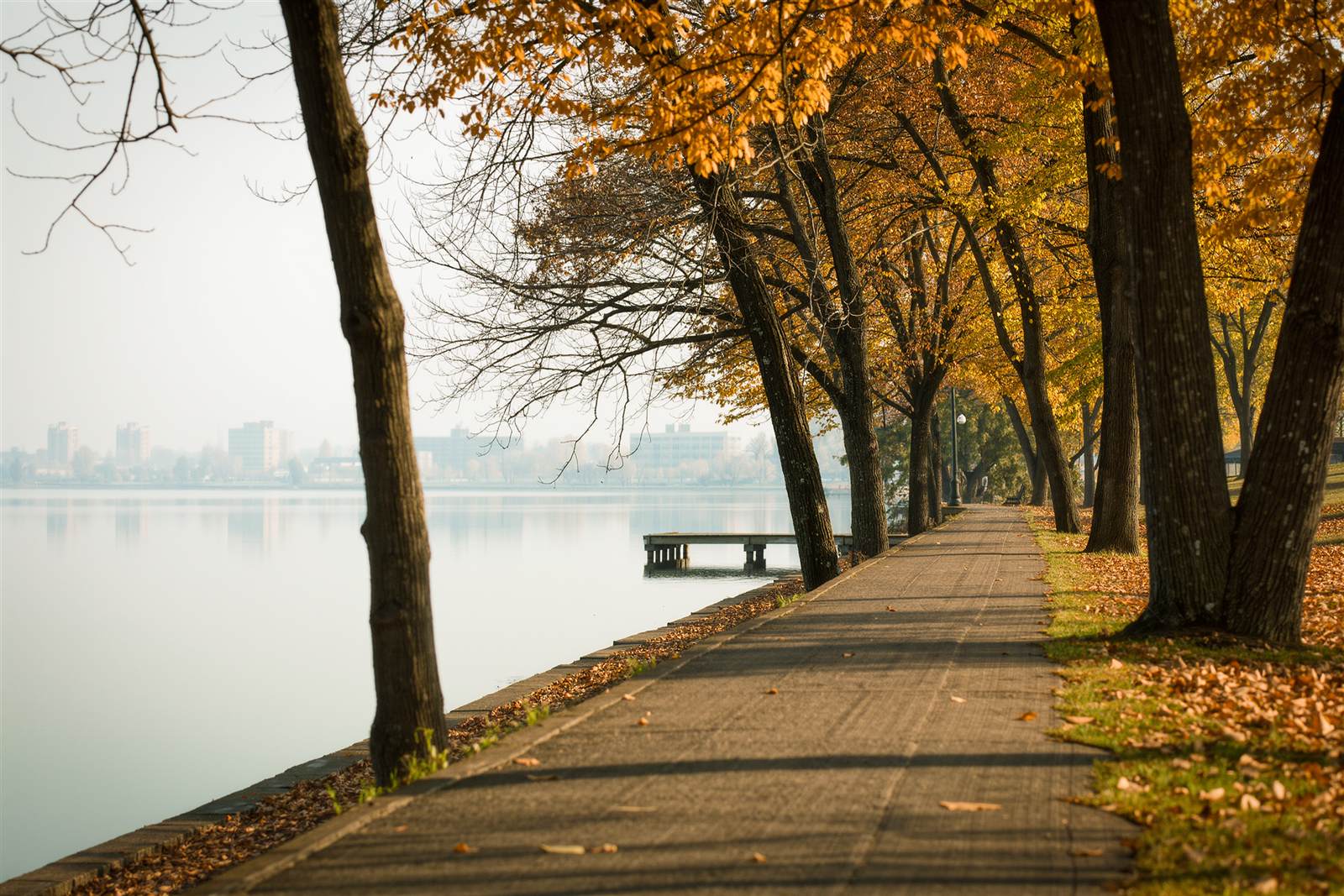 A paved path beside a Minneapolis lake with autumn trees and a wooden dock
